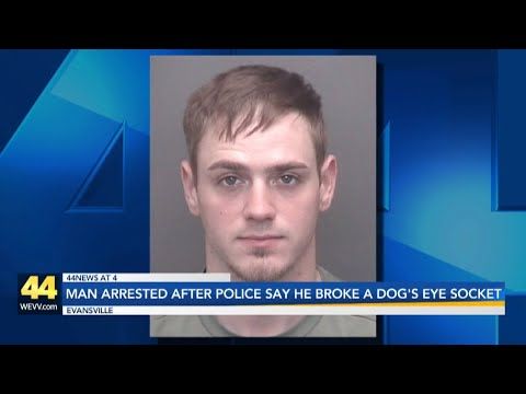 Dog returned to humane society with fractured eye socket, leading to Evansville man's arrest