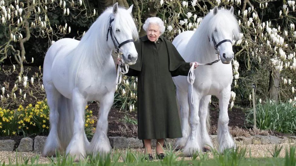 Queen Elizabeth with her 2 Fell Ponies