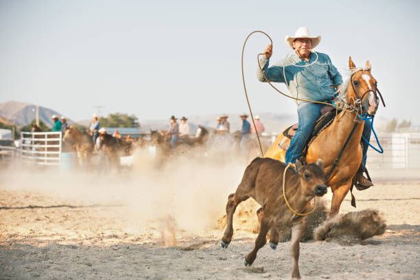 Cowboy and quarter horse steer roping