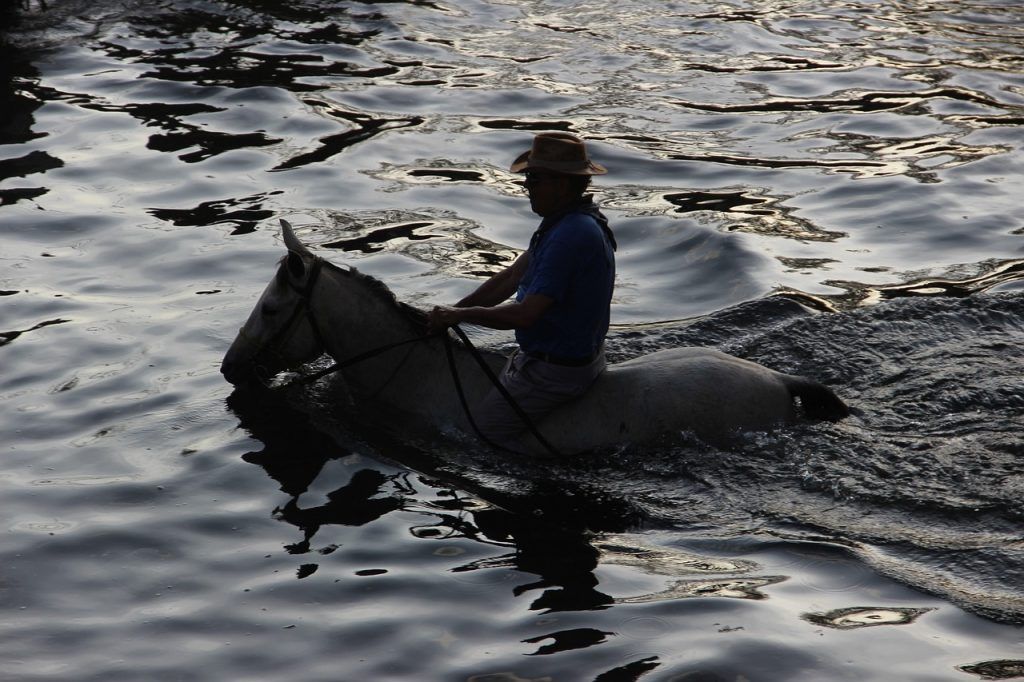 man riding a horse through water