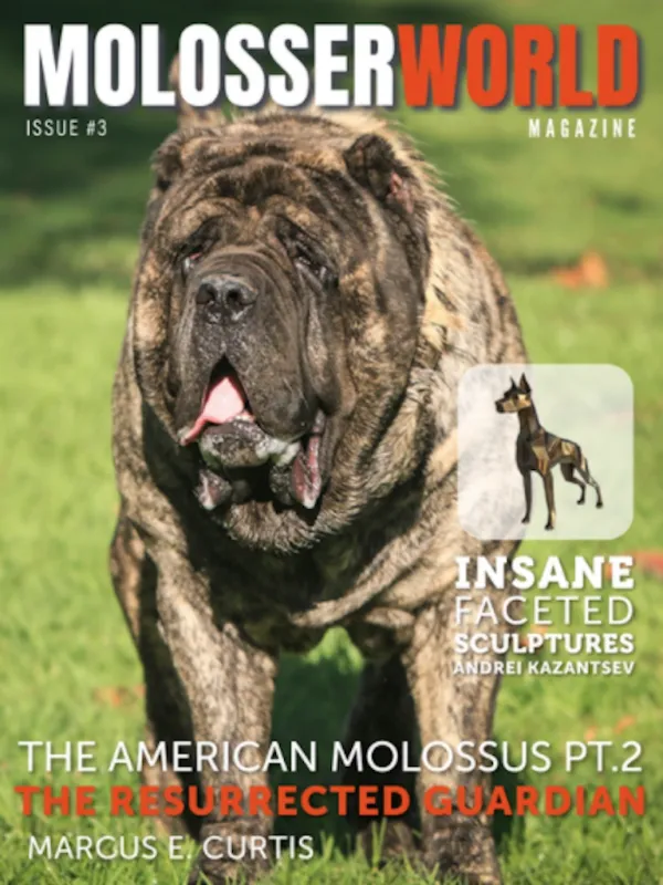 Cover of Molosser World magazine featuring the American Molossus